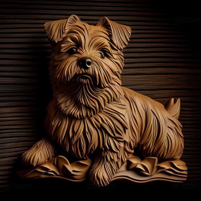 3D model Norfolk Terrier dog (STL)